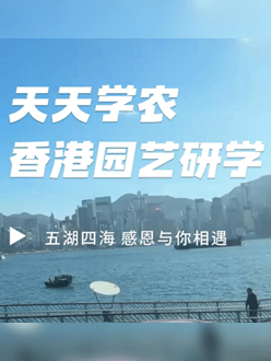 与香港园艺学会联合举办香港园艺研学，专业园境师带队讲解。