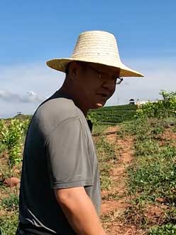 农业人叶涛，50多岁通讯人跨界搞农业，他要用1000万打造一个梦。