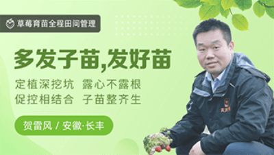 多发子苗，发好苗